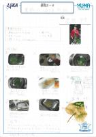 2019hachinari13.jpg